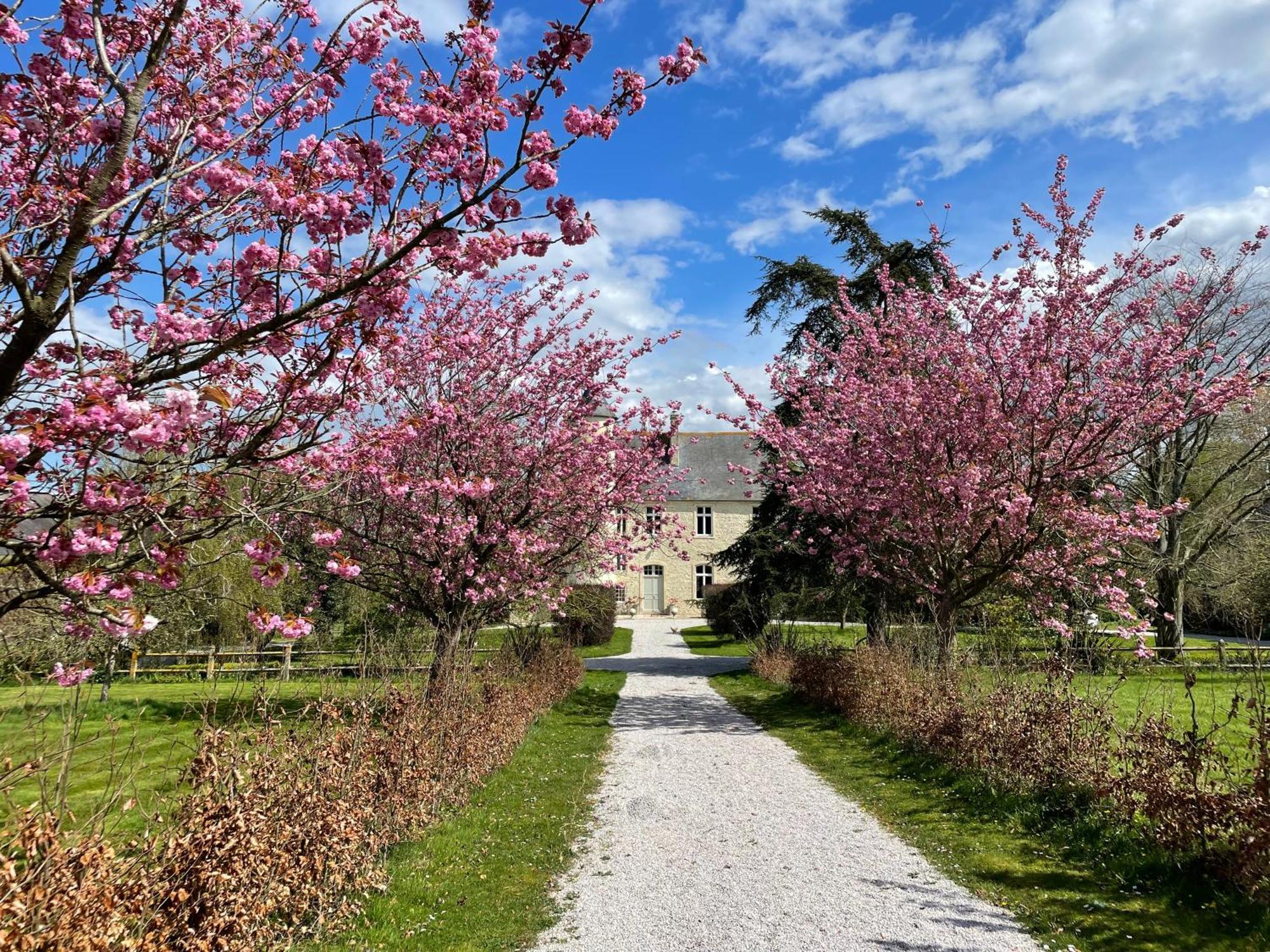 Chateau De Monfréville Esterno foto